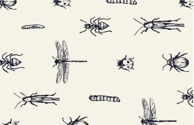 Bêta bondieu pattern